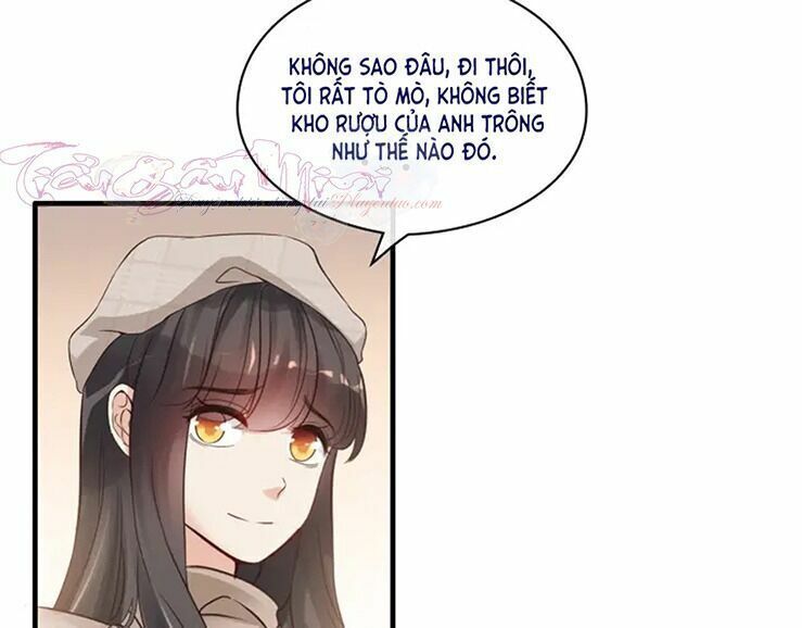 đọc truyện Cô Vợ Hợp Đồng Bỏ Trốn Của Tổng Giám Đốc Chương 320 ảnh 71 tại Thiên Thai Truyện