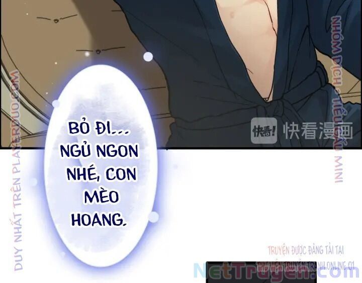 đọc truyện Cô Vợ Hợp Đồng Bỏ Trốn Của Tổng Giám Đốc Chương 326 ảnh 16 tại Thiên Thai Truyện