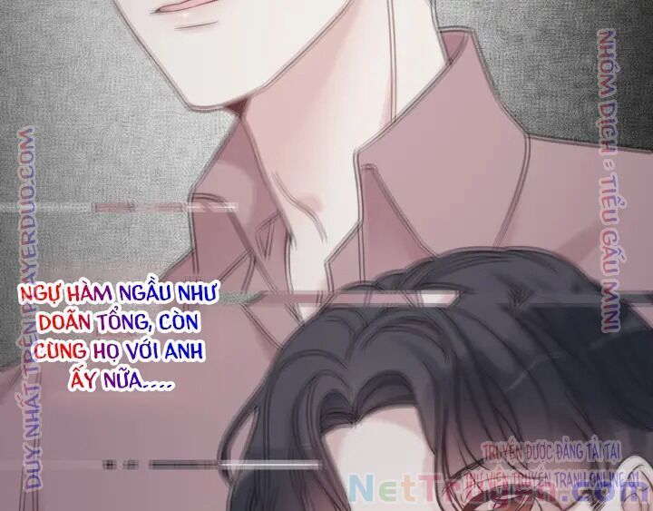 đọc truyện Cô Vợ Hợp Đồng Bỏ Trốn Của Tổng Giám Đốc Chương 326 ảnh 41 tại Thiên Thai Truyện