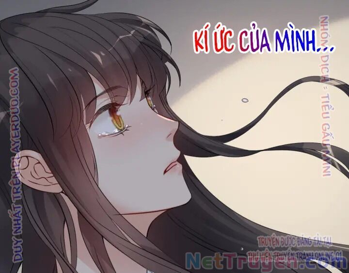 đọc truyện Cô Vợ Hợp Đồng Bỏ Trốn Của Tổng Giám Đốc Chương 326 ảnh 55 tại Thiên Thai Truyện