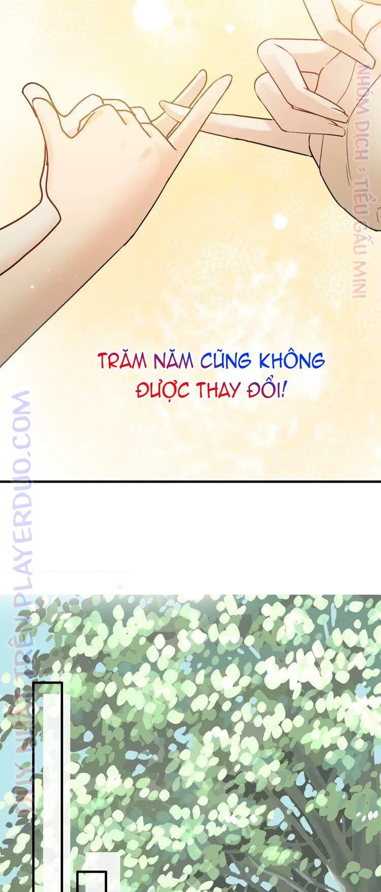 đọc truyện Cô Vợ Hợp Đồng Bỏ Trốn Của Tổng Giám Đốc Chương 327 ảnh 20 tại Thiên Thai Truyện