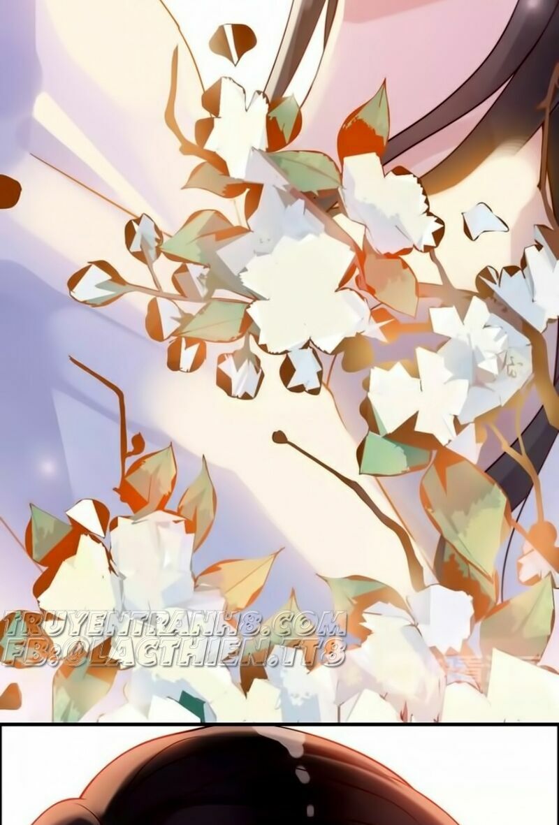 đọc truyện Cô Vợ Hợp Đồng Bỏ Trốn Của Tổng Giám Đốc Chương 33 ảnh 22 tại Thiên Thai Truyện