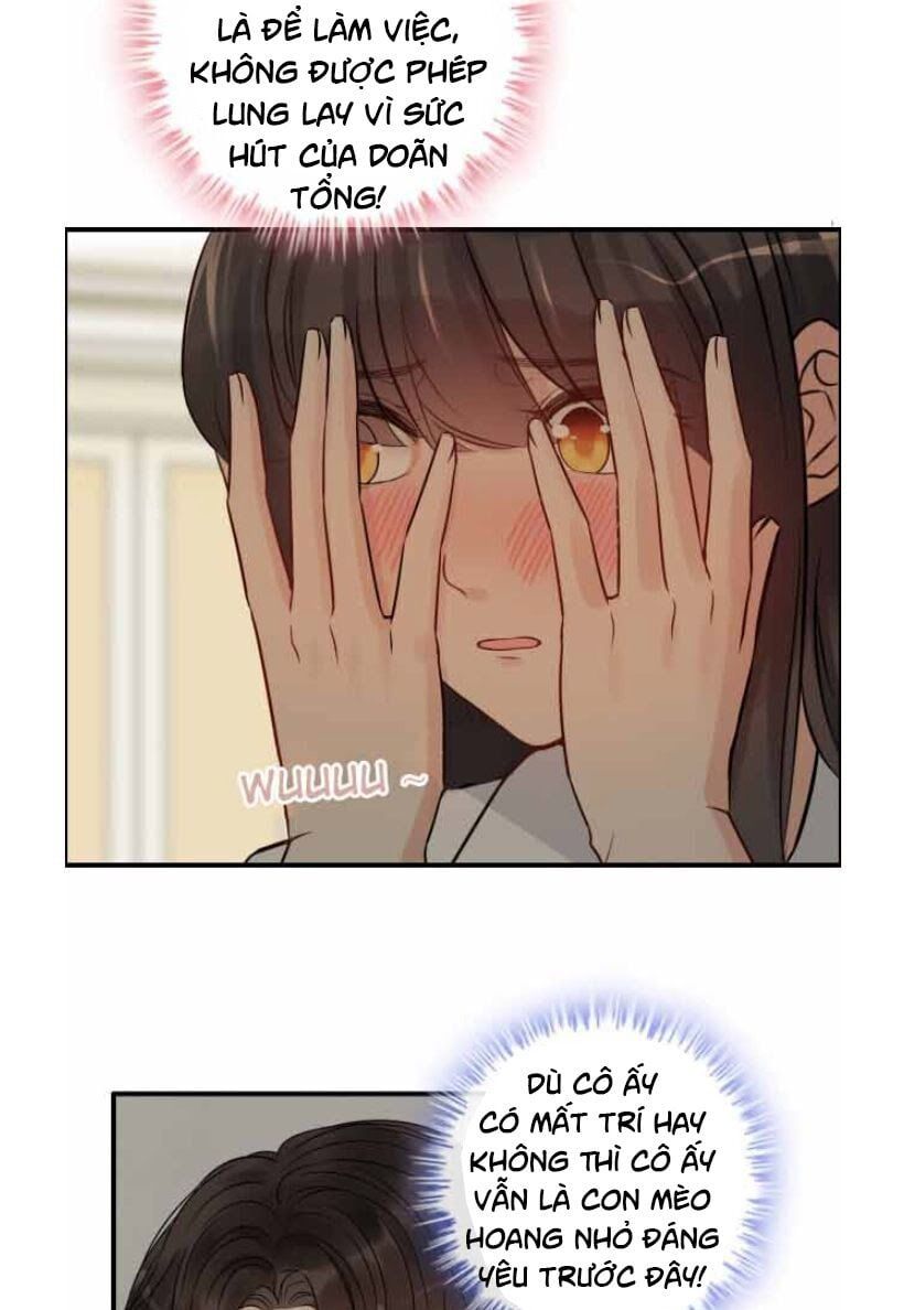 đọc truyện Cô Vợ Hợp Đồng Bỏ Trốn Của Tổng Giám Đốc Chương 330.1 ảnh 20 tại Thiên Thai Truyện