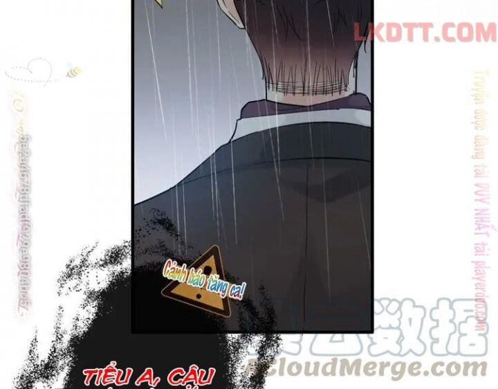 đọc truyện Cô Vợ Hợp Đồng Bỏ Trốn Của Tổng Giám Đốc Chương 338 ảnh 12 tại Thiên Thai Truyện