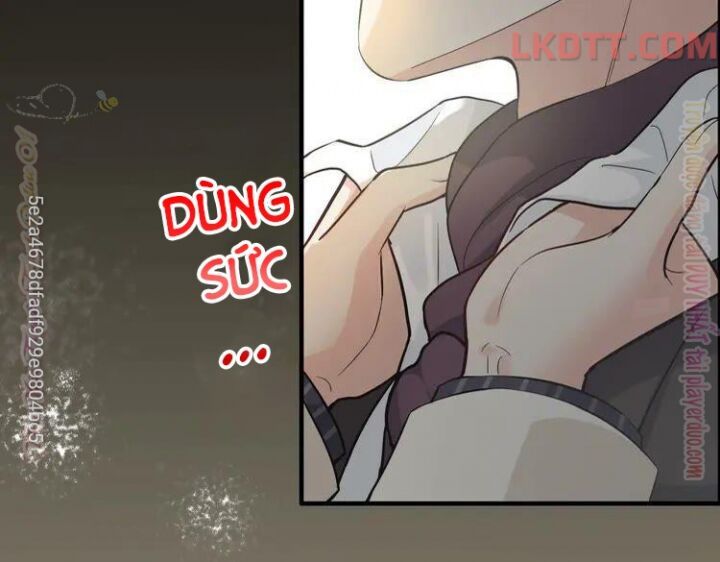 đọc truyện Cô Vợ Hợp Đồng Bỏ Trốn Của Tổng Giám Đốc Chương 339 ảnh 58 tại Thiên Thai Truyện