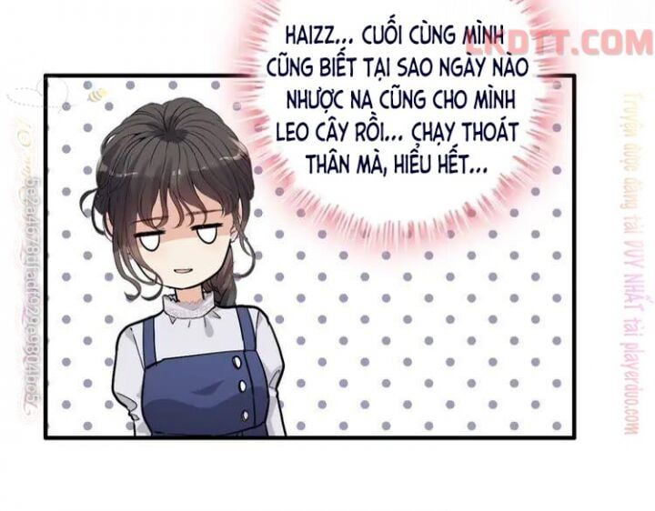 đọc truyện Cô Vợ Hợp Đồng Bỏ Trốn Của Tổng Giám Đốc Chương 340 ảnh 34 tại Thiên Thai Truyện