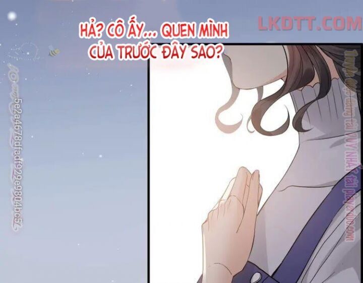 đọc truyện Cô Vợ Hợp Đồng Bỏ Trốn Của Tổng Giám Đốc Chương 340 ảnh 81 tại Thiên Thai Truyện