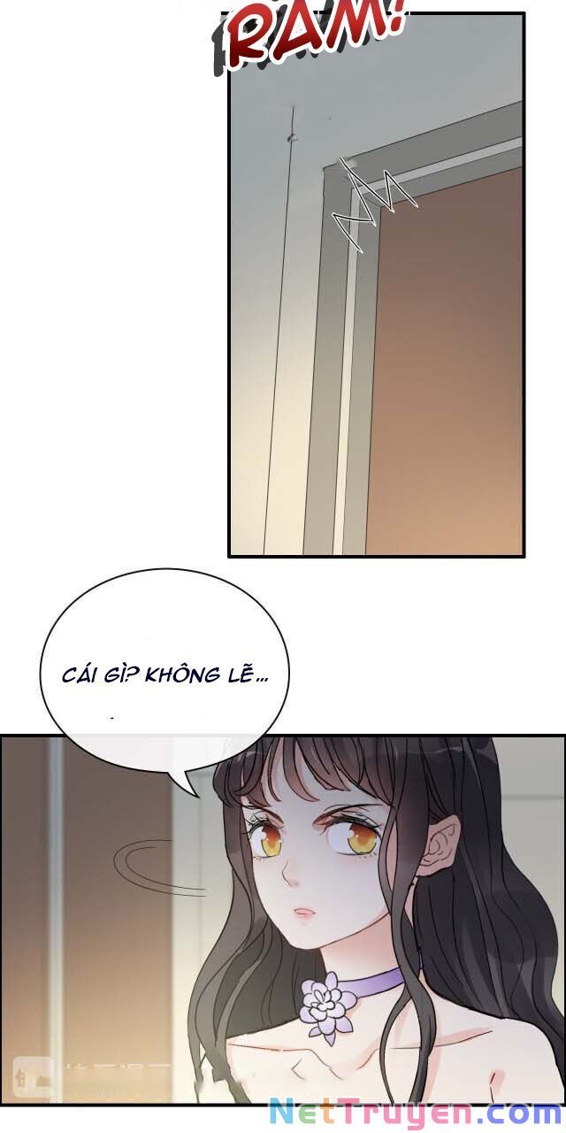 đọc truyện Cô Vợ Hợp Đồng Bỏ Trốn Của Tổng Giám Đốc Chương 343 ảnh 19 tại Thiên Thai Truyện