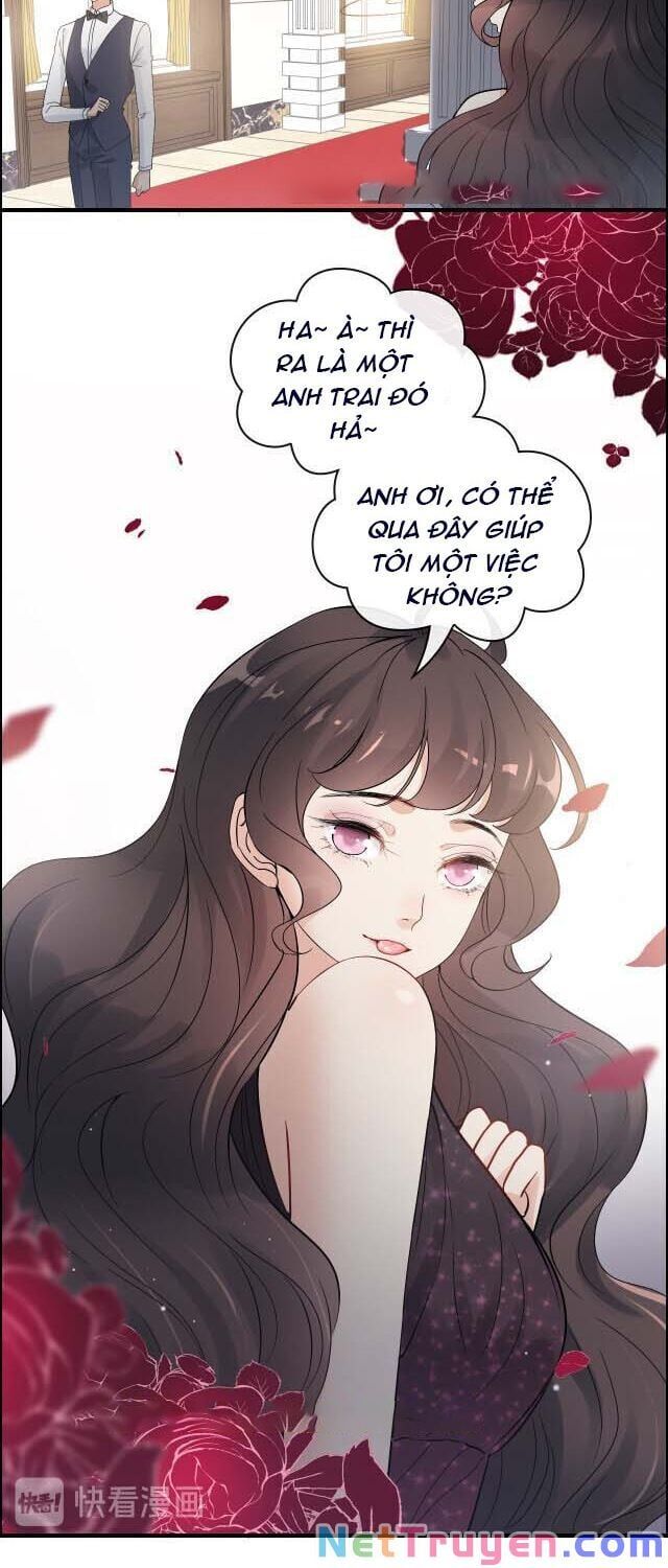 đọc truyện Cô Vợ Hợp Đồng Bỏ Trốn Của Tổng Giám Đốc Chương 343 ảnh 10 tại Thiên Thai Truyện