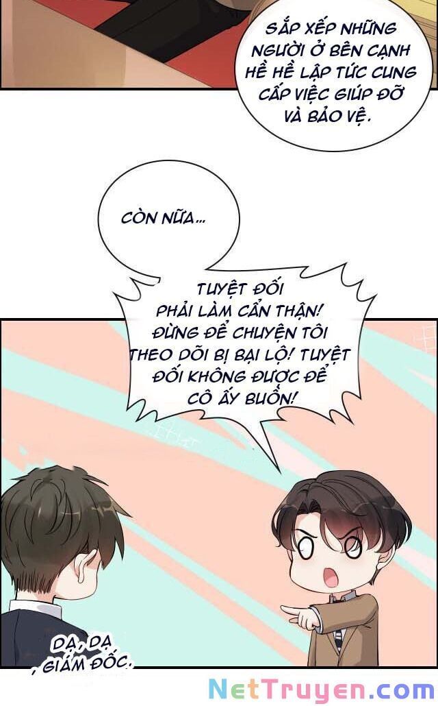 đọc truyện Cô Vợ Hợp Đồng Bỏ Trốn Của Tổng Giám Đốc Chương 344 ảnh 5 tại Thiên Thai Truyện