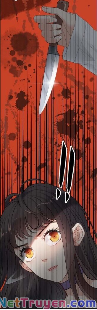 đọc truyện Cô Vợ Hợp Đồng Bỏ Trốn Của Tổng Giám Đốc Chương 345 ảnh 13 tại Thiên Thai Truyện