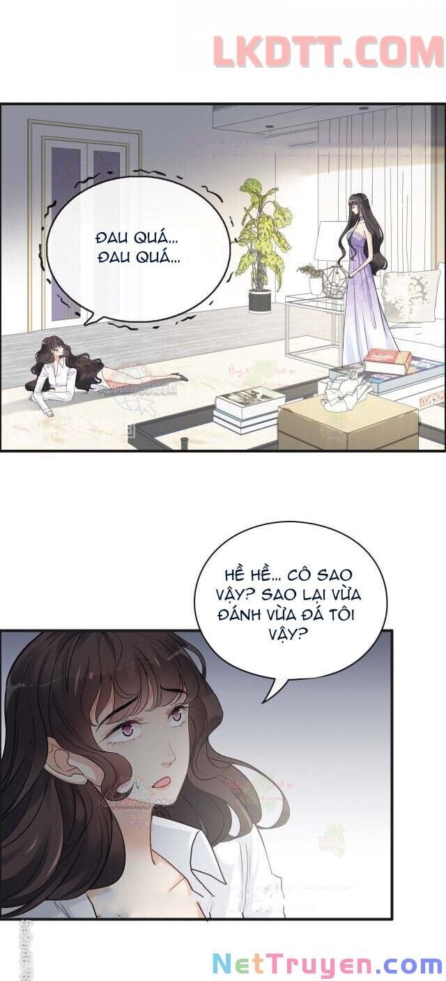 đọc truyện Cô Vợ Hợp Đồng Bỏ Trốn Của Tổng Giám Đốc Chương 345 ảnh 16 tại Thiên Thai Truyện