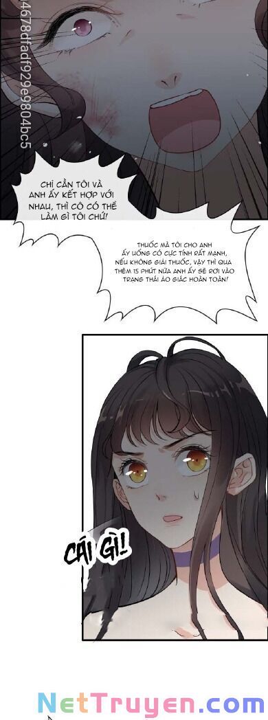 đọc truyện Cô Vợ Hợp Đồng Bỏ Trốn Của Tổng Giám Đốc Chương 345 ảnh 25 tại Thiên Thai Truyện