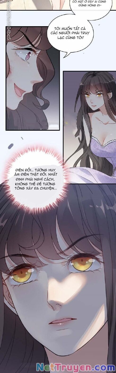 đọc truyện Cô Vợ Hợp Đồng Bỏ Trốn Của Tổng Giám Đốc Chương 345 ảnh 31 tại Thiên Thai Truyện