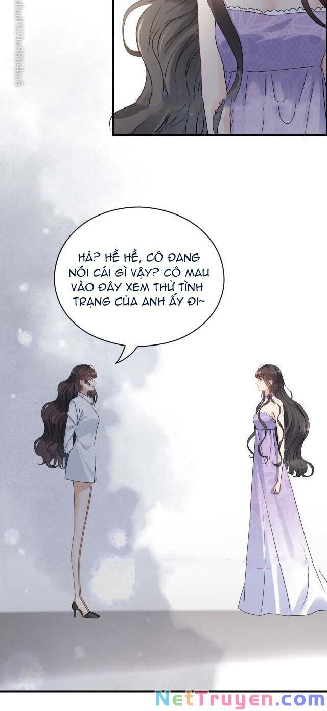 đọc truyện Cô Vợ Hợp Đồng Bỏ Trốn Của Tổng Giám Đốc Chương 345 ảnh 8 tại Thiên Thai Truyện