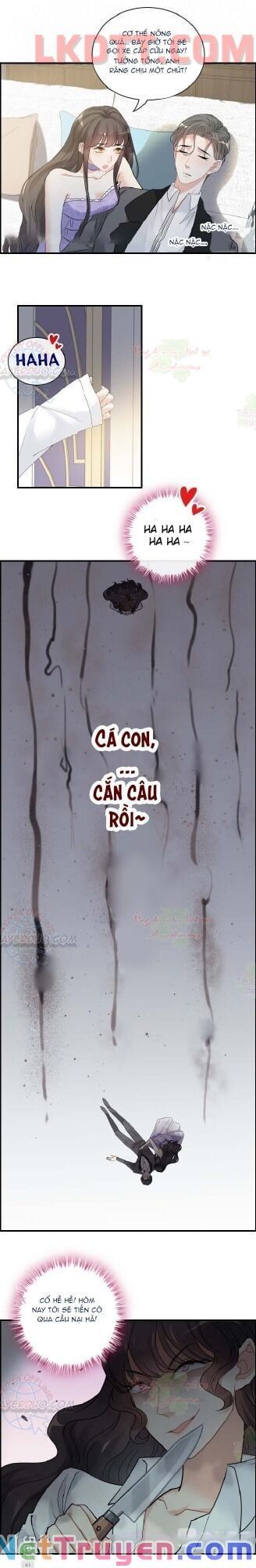 đọc truyện Cô Vợ Hợp Đồng Bỏ Trốn Của Tổng Giám Đốc Chương 345 ảnh 11 tại Thiên Thai Truyện