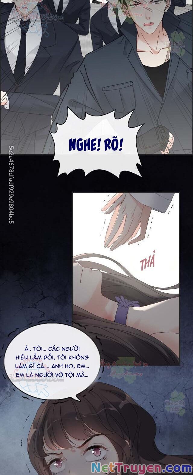 đọc truyện Cô Vợ Hợp Đồng Bỏ Trốn Của Tổng Giám Đốc Chương 346 ảnh 31 tại Thiên Thai Truyện