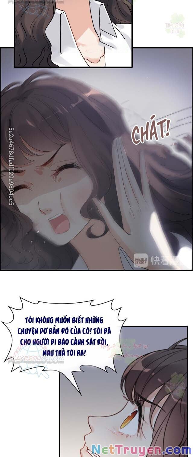 đọc truyện Cô Vợ Hợp Đồng Bỏ Trốn Của Tổng Giám Đốc Chương 346 ảnh 8 tại Thiên Thai Truyện