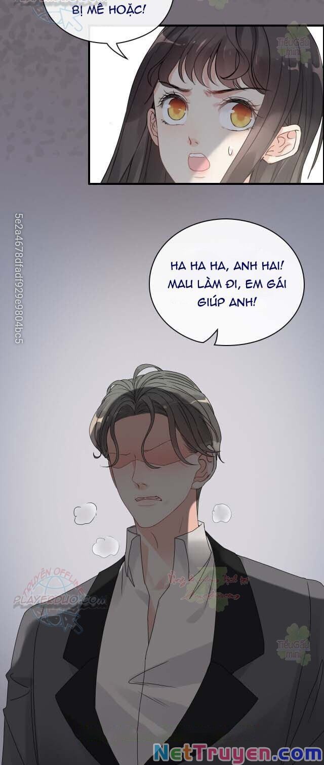 đọc truyện Cô Vợ Hợp Đồng Bỏ Trốn Của Tổng Giám Đốc Chương 346 ảnh 11 tại Thiên Thai Truyện