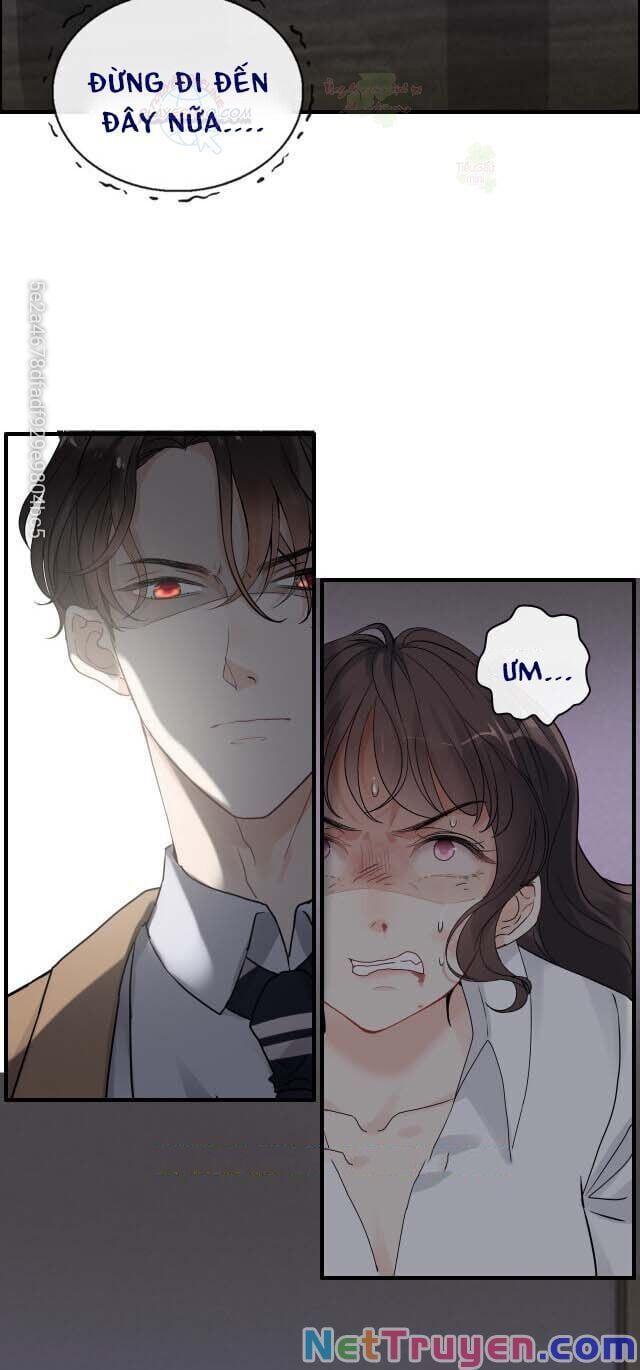 đọc truyện Cô Vợ Hợp Đồng Bỏ Trốn Của Tổng Giám Đốc Chương 347 ảnh 14 tại Thiên Thai Truyện