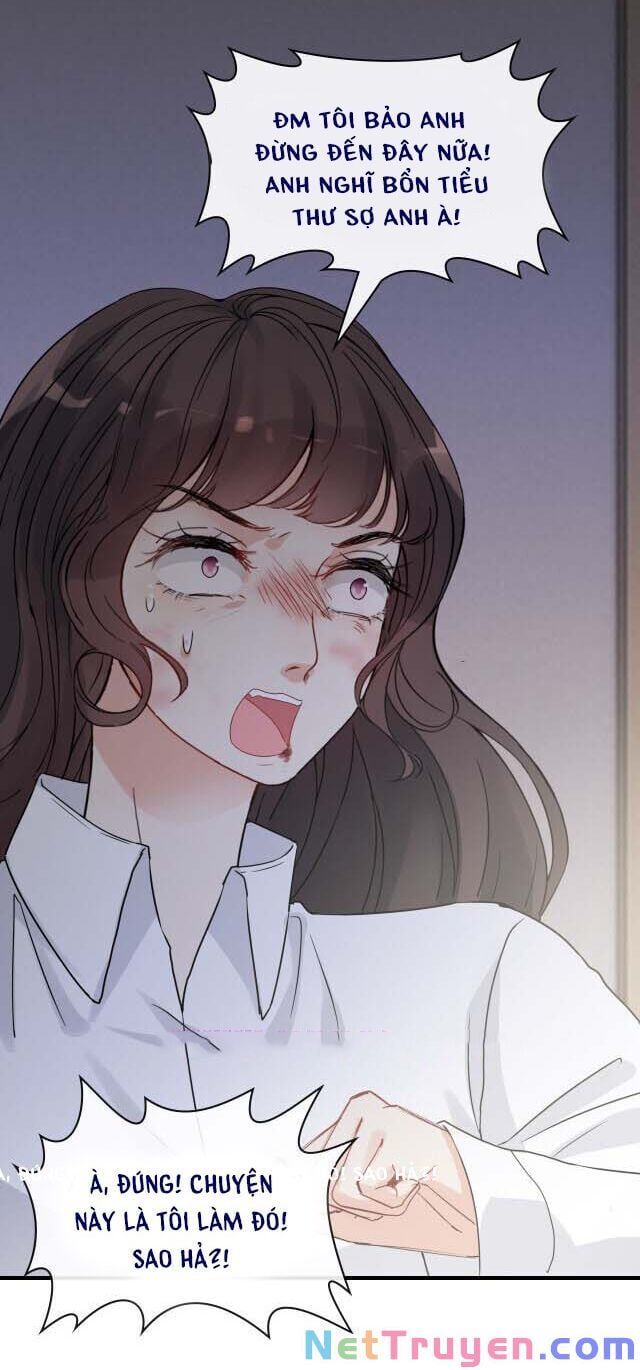 đọc truyện Cô Vợ Hợp Đồng Bỏ Trốn Của Tổng Giám Đốc Chương 347 ảnh 15 tại Thiên Thai Truyện