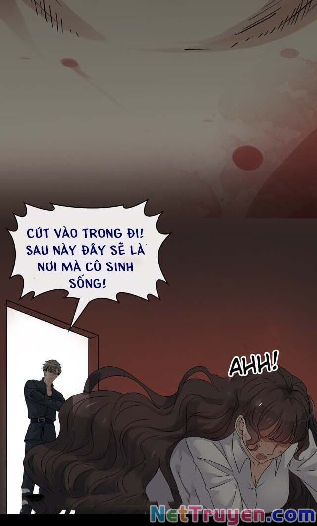 đọc truyện Cô Vợ Hợp Đồng Bỏ Trốn Của Tổng Giám Đốc Chương 347 ảnh 26 tại Thiên Thai Truyện