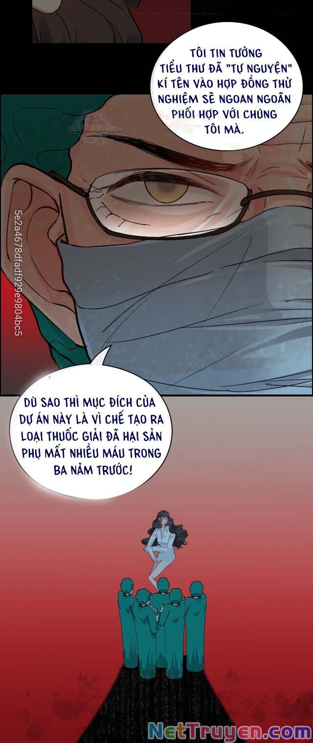 đọc truyện Cô Vợ Hợp Đồng Bỏ Trốn Của Tổng Giám Đốc Chương 347 ảnh 30 tại Thiên Thai Truyện