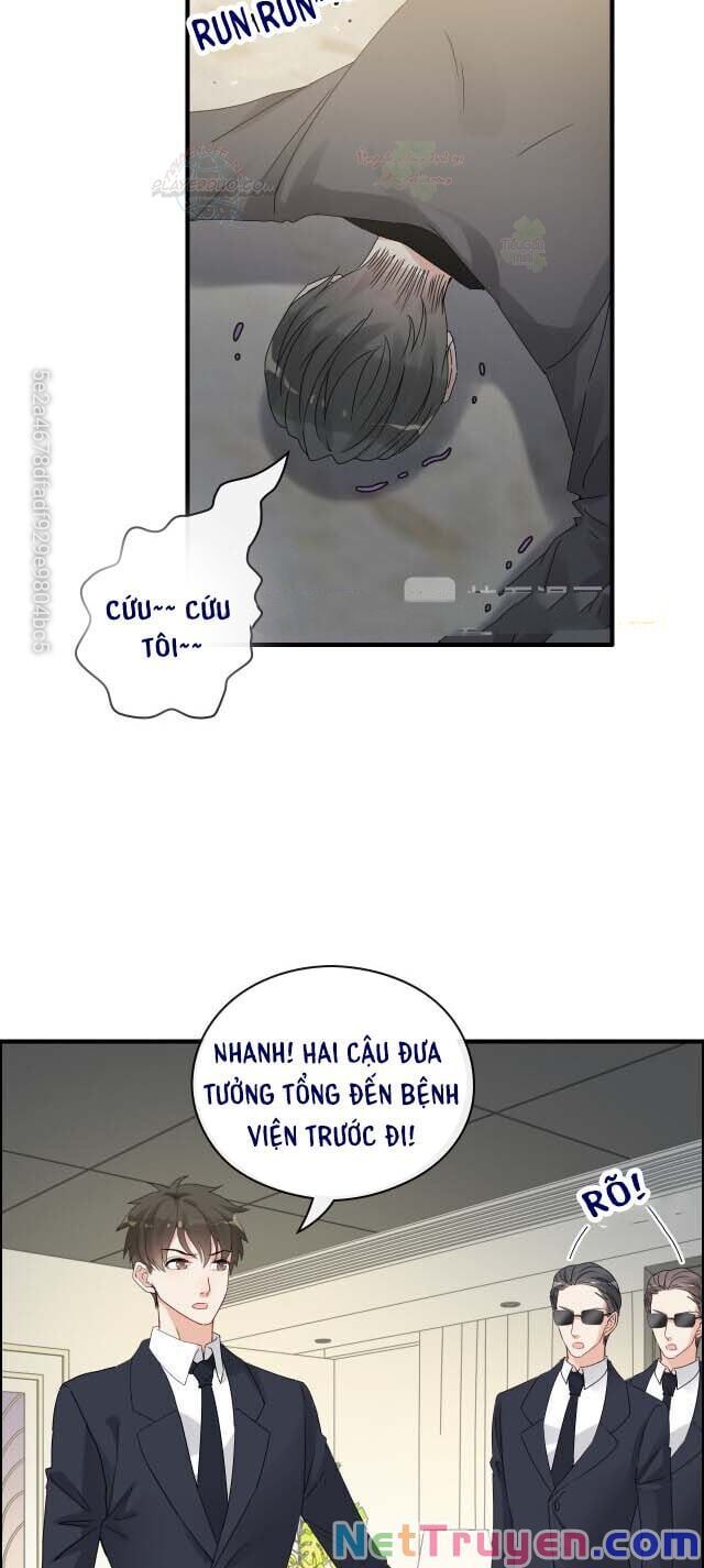 đọc truyện Cô Vợ Hợp Đồng Bỏ Trốn Của Tổng Giám Đốc Chương 347 ảnh 8 tại Thiên Thai Truyện