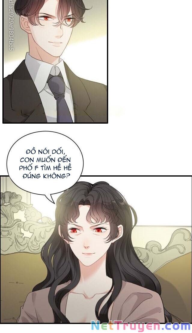 đọc truyện Cô Vợ Hợp Đồng Bỏ Trốn Của Tổng Giám Đốc Chương 349 ảnh 12 tại Thiên Thai Truyện