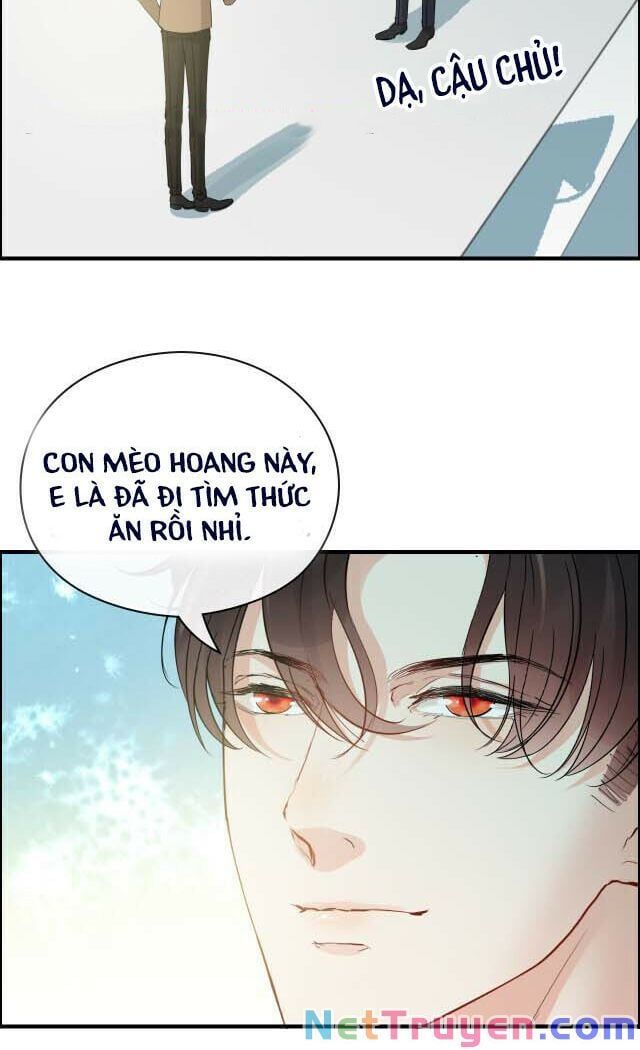 đọc truyện Cô Vợ Hợp Đồng Bỏ Trốn Của Tổng Giám Đốc Chương 351.1 ảnh 5 tại Thiên Thai Truyện