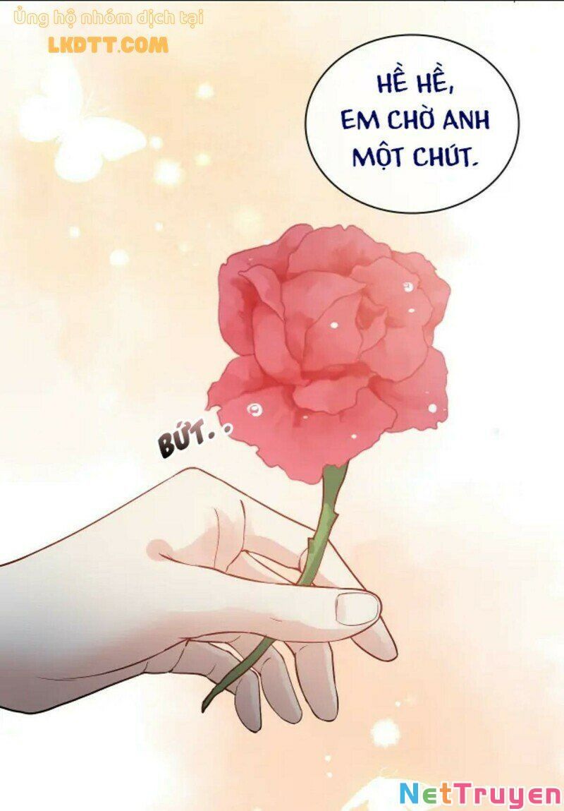 đọc truyện Cô Vợ Hợp Đồng Bỏ Trốn Của Tổng Giám Đốc Chương 366 ảnh 29 tại Thiên Thai Truyện