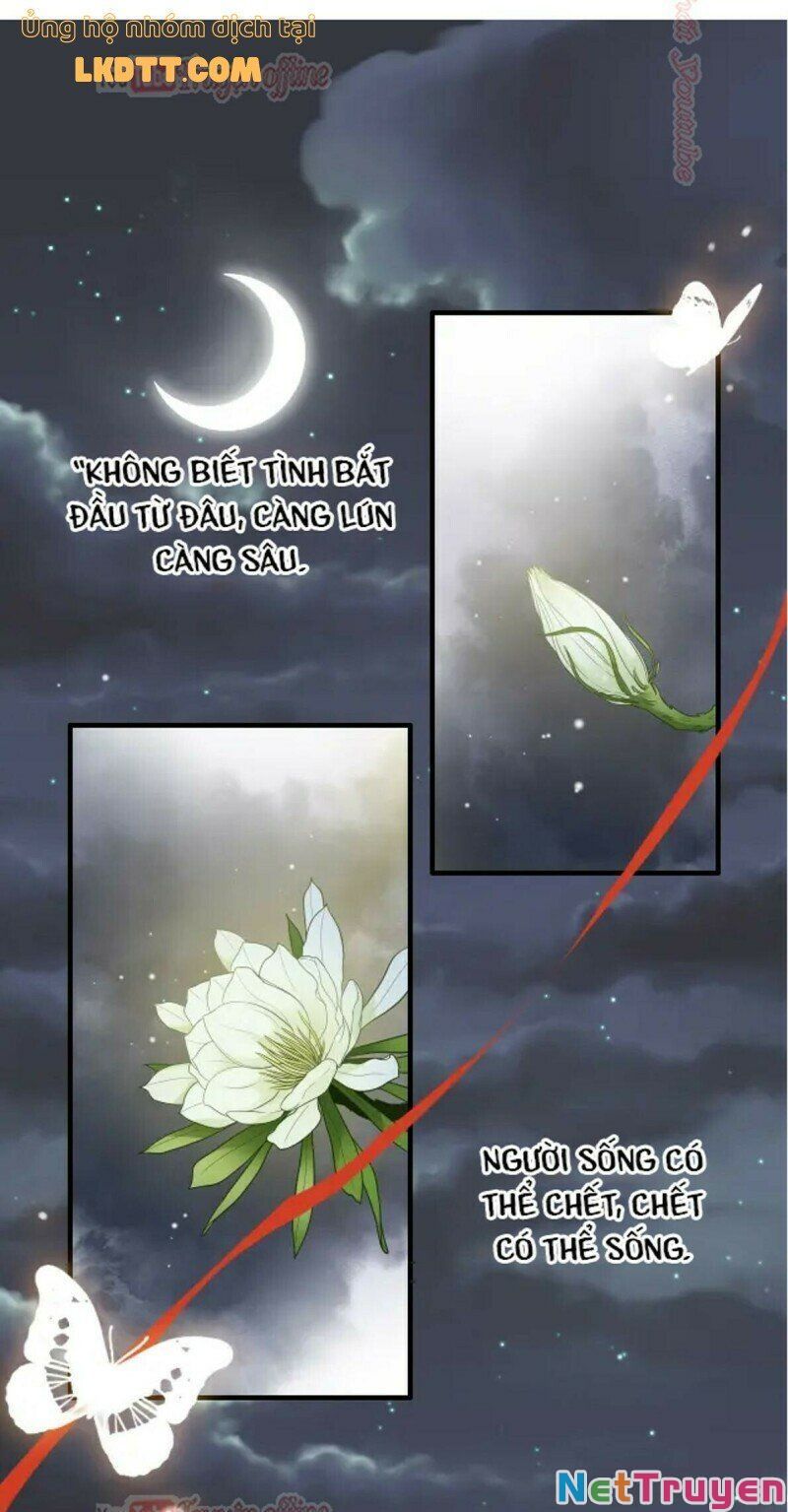 đọc truyện Cô Vợ Hợp Đồng Bỏ Trốn Của Tổng Giám Đốc Chương 366 ảnh 41 tại Thiên Thai Truyện