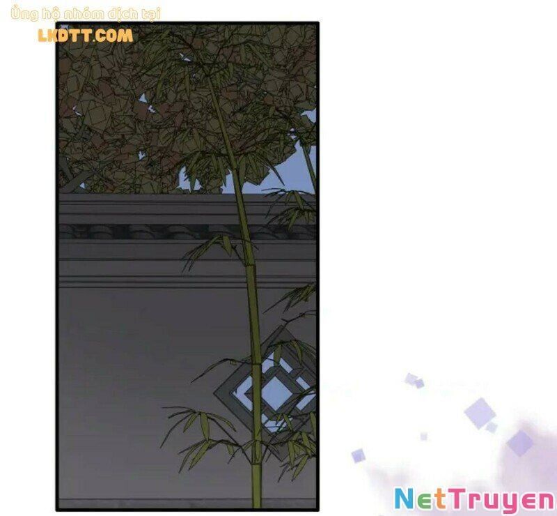 đọc truyện Cô Vợ Hợp Đồng Bỏ Trốn Của Tổng Giám Đốc Chương 366 ảnh 11 tại Thiên Thai Truyện