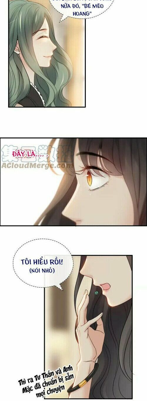 đọc truyện Cô Vợ Hợp Đồng Bỏ Trốn Của Tổng Giám Đốc Chương 378 ảnh 27 tại Thiên Thai Truyện