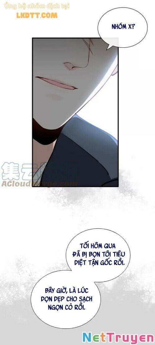 đọc truyện Cô Vợ Hợp Đồng Bỏ Trốn Của Tổng Giám Đốc Chương 379 ảnh 16 tại Thiên Thai Truyện