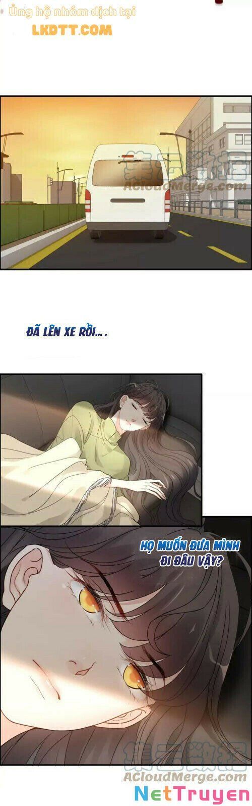 đọc truyện Cô Vợ Hợp Đồng Bỏ Trốn Của Tổng Giám Đốc Chương 379 ảnh 19 tại Thiên Thai Truyện