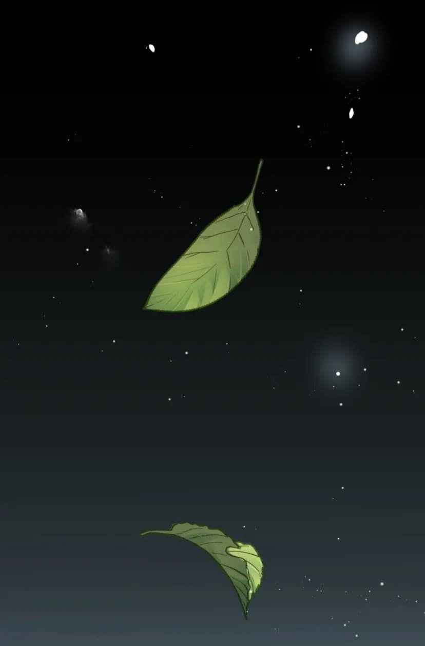 đọc truyện Cô Vợ Hợp Đồng Bỏ Trốn Của Tổng Giám Đốc Chương 389.5 ảnh 9 tại Thiên Thai Truyện