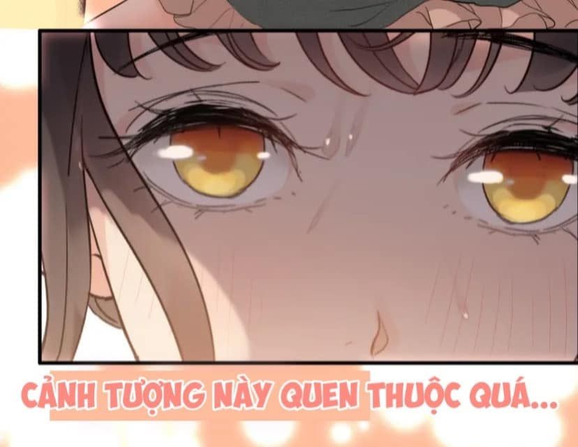 đọc truyện Cô Vợ Hợp Đồng Bỏ Trốn Của Tổng Giám Đốc Chương 394 ảnh 12 tại Thiên Thai Truyện