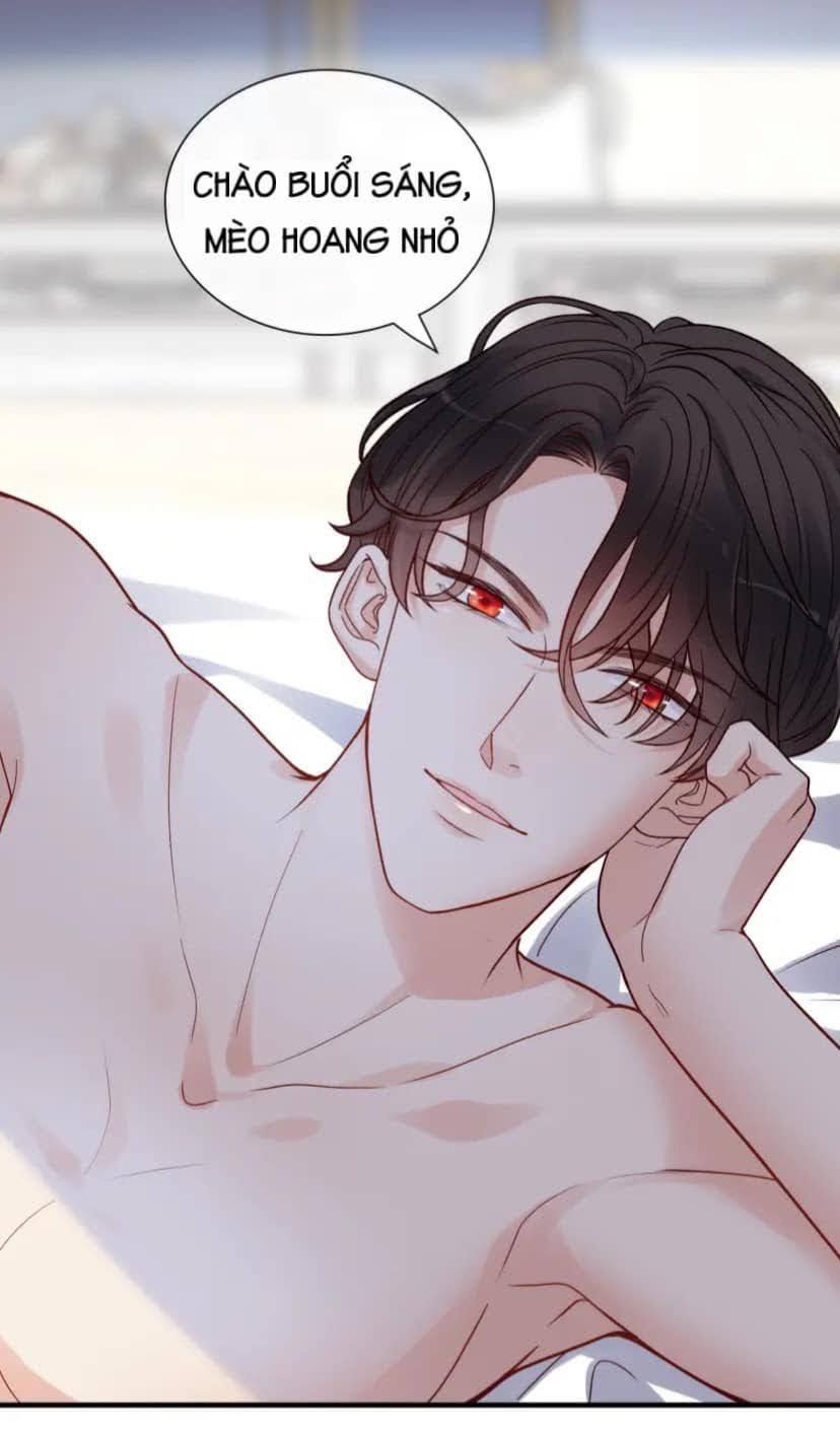 đọc truyện Cô Vợ Hợp Đồng Bỏ Trốn Của Tổng Giám Đốc Chương 395.5 ảnh 3 tại Thiên Thai Truyện