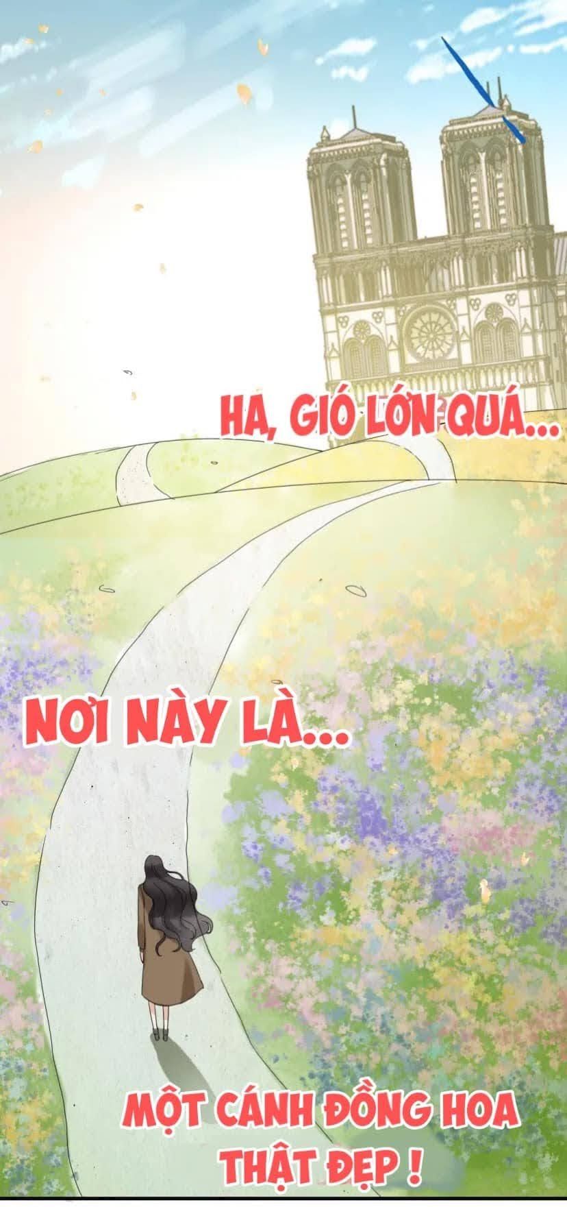 đọc truyện Cô Vợ Hợp Đồng Bỏ Trốn Của Tổng Giám Đốc Chương 396 ảnh 11 tại Thiên Thai Truyện