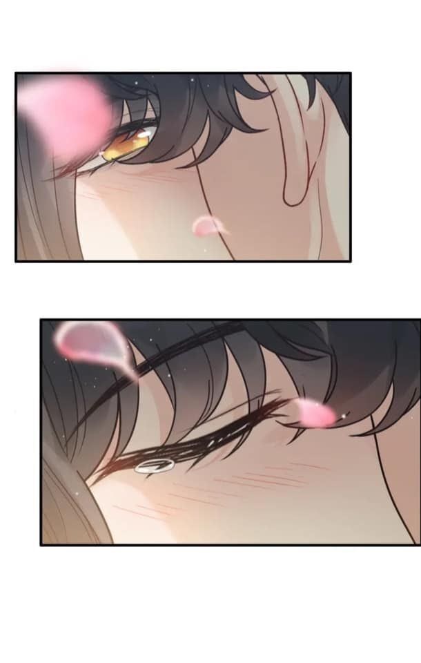 đọc truyện Cô Vợ Hợp Đồng Bỏ Trốn Của Tổng Giám Đốc Chương 397 ảnh 18 tại Thiên Thai Truyện