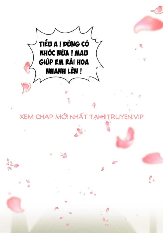 đọc truyện Cô Vợ Hợp Đồng Bỏ Trốn Của Tổng Giám Đốc Chương 397 ảnh 23 tại Thiên Thai Truyện