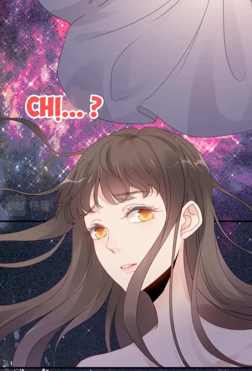 đọc truyện Cô Vợ Hợp Đồng Bỏ Trốn Của Tổng Giám Đốc Chương 400 ảnh 17 tại Thiên Thai Truyện