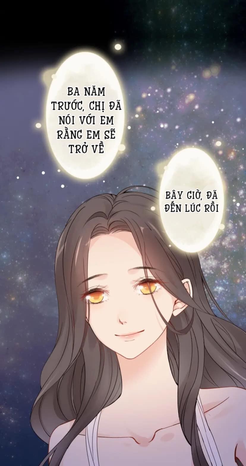 đọc truyện Cô Vợ Hợp Đồng Bỏ Trốn Của Tổng Giám Đốc Chương 400 ảnh 19 tại Thiên Thai Truyện