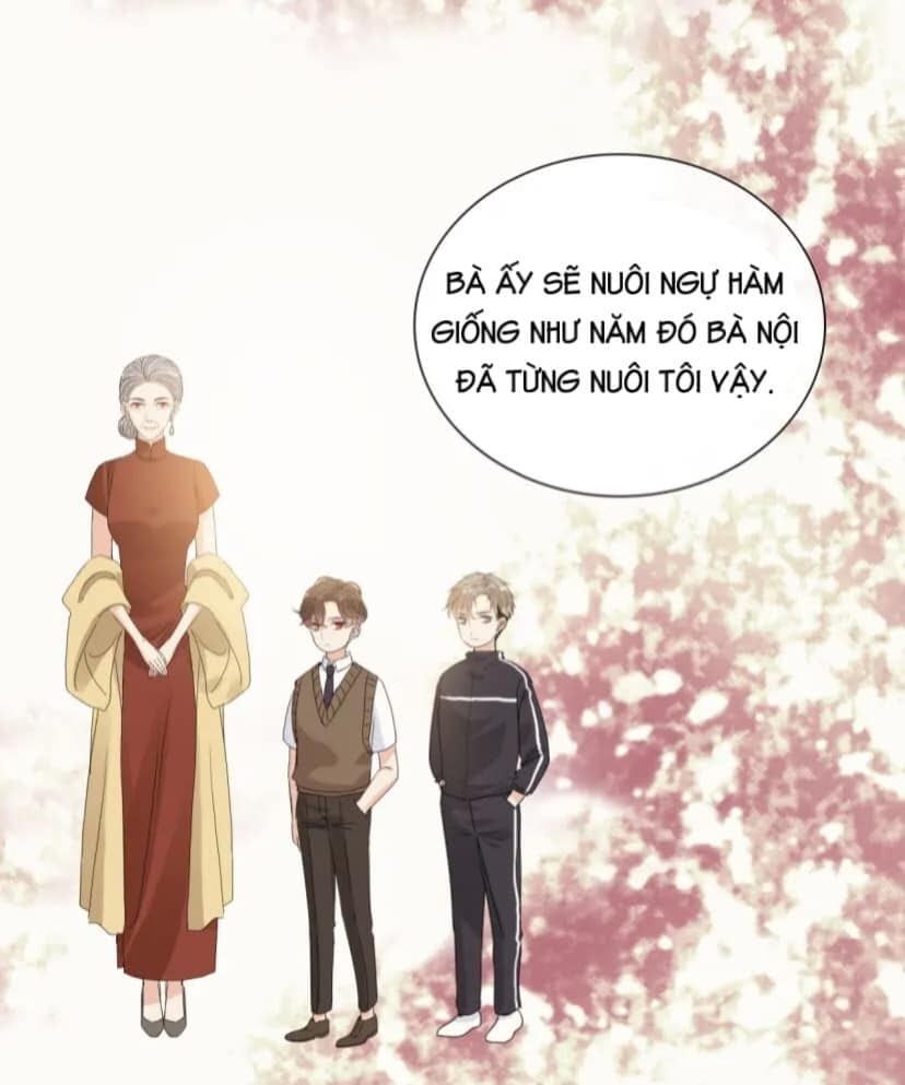 đọc truyện Cô Vợ Hợp Đồng Bỏ Trốn Của Tổng Giám Đốc Chương 401 ảnh 24 tại Thiên Thai Truyện