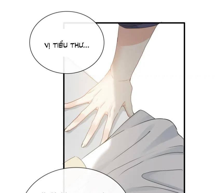 đọc truyện Cô Vợ Hợp Đồng Bỏ Trốn Của Tổng Giám Đốc Chương 407 ảnh 10 tại Thiên Thai Truyện