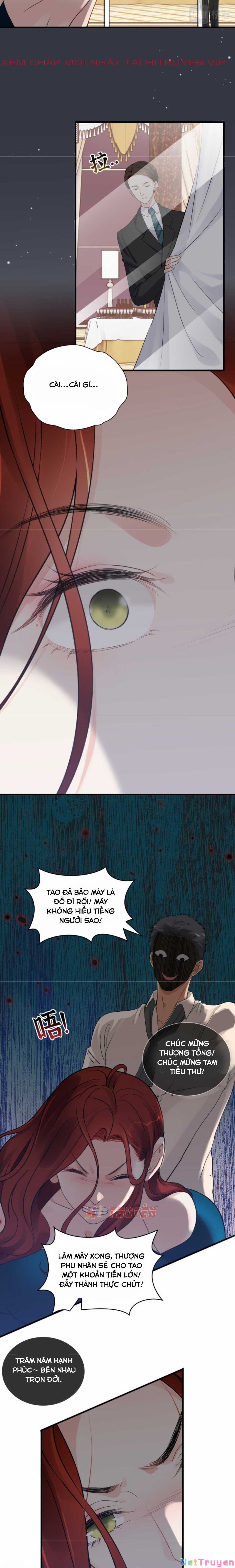 đọc truyện Cô Vợ Hợp Đồng Bỏ Trốn Của Tổng Giám Đốc Chương 431.1 ảnh 4 tại Thiên Thai Truyện