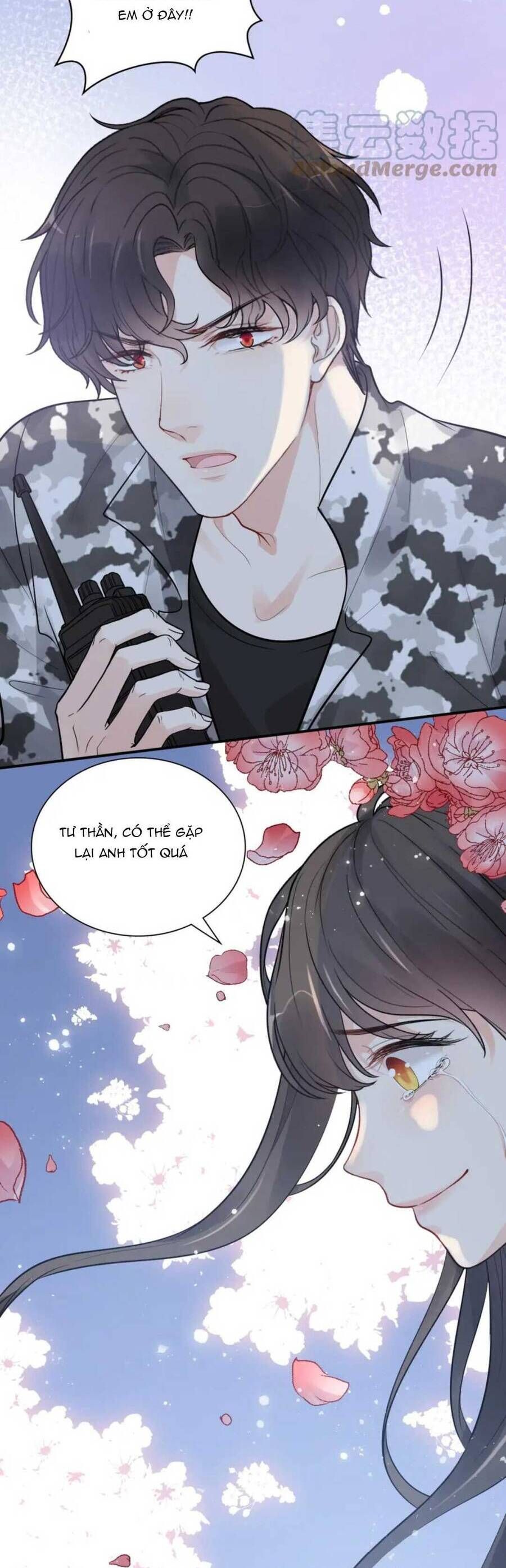 đọc truyện Cô Vợ Hợp Đồng Bỏ Trốn Của Tổng Giám Đốc Chương 489 ảnh 10 tại Thiên Thai Truyện