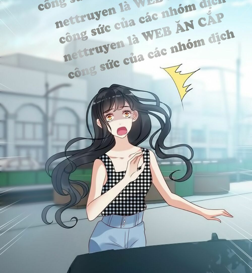 đọc truyện Cô Vợ Hợp Đồng Bỏ Trốn Của Tổng Giám Đốc Chương 51 ảnh 34 tại Thiên Thai Truyện