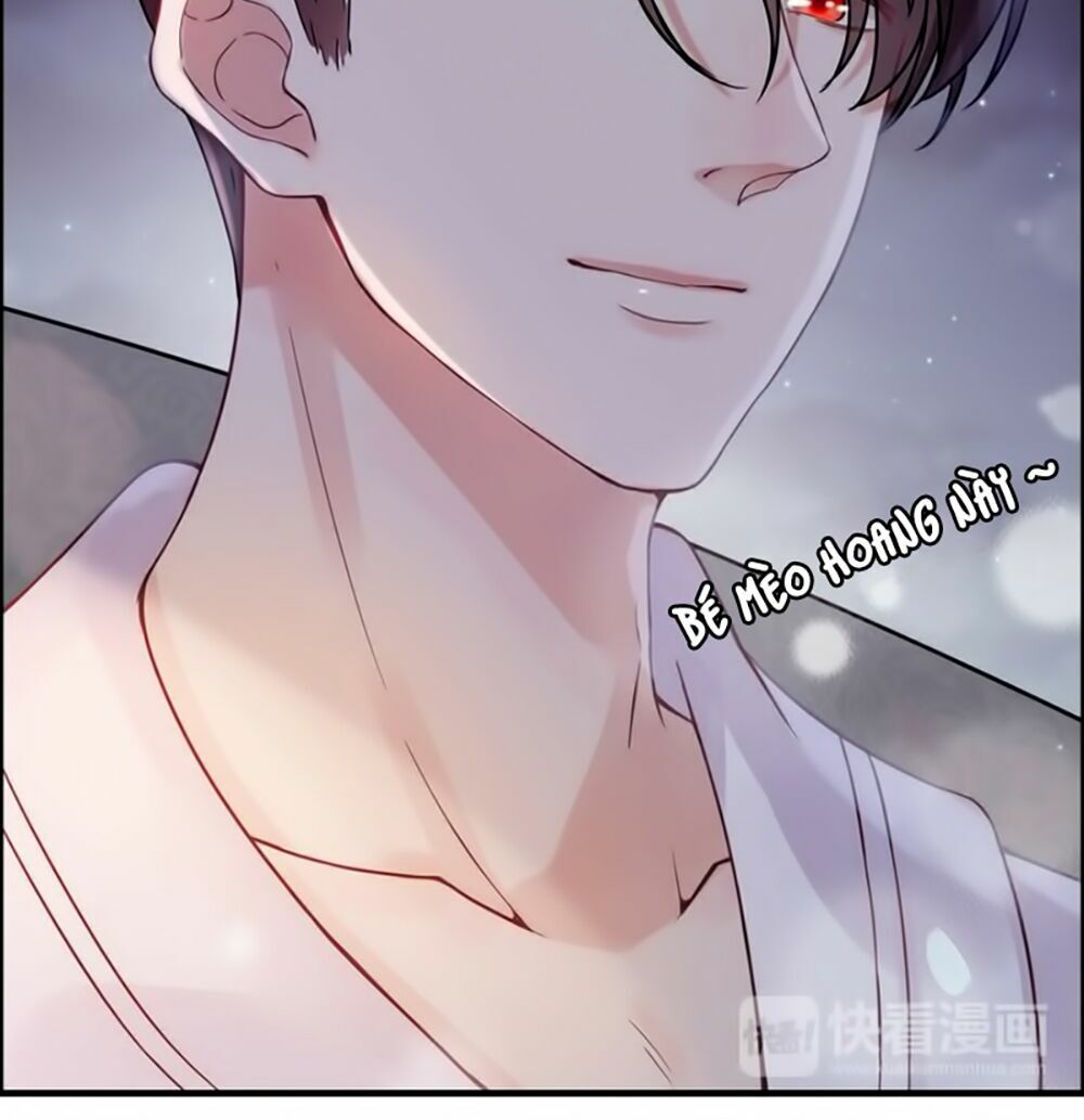 đọc truyện Cô Vợ Hợp Đồng Bỏ Trốn Của Tổng Giám Đốc Chương 61 ảnh 13 tại Thiên Thai Truyện